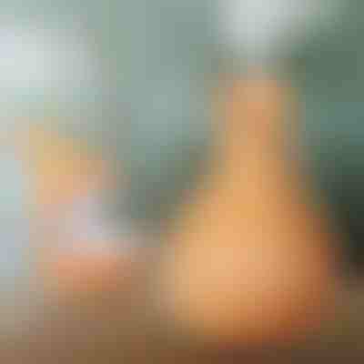 Humidificateur en bois | HUMISTER