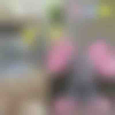 Éléphant chantant TRUMPY