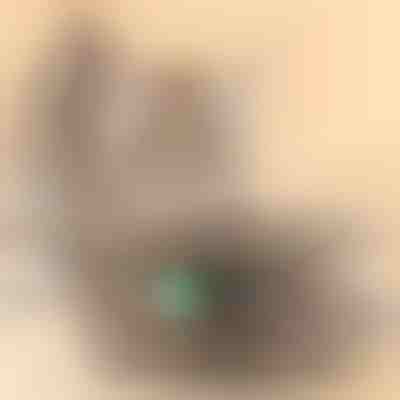 Jouet pour chat | PREYPLAY