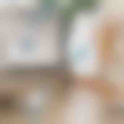 Brosse de nettoyage électrique rotative | ROTOBRUSH