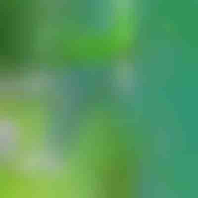 Un outil pour enlever les mauvaises herbes | SPINOUT