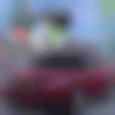 Bâche pour pare-brise | CARCOVER