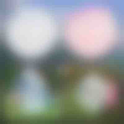 Bulle Gonflable Polyvalente | SLIMEBUB