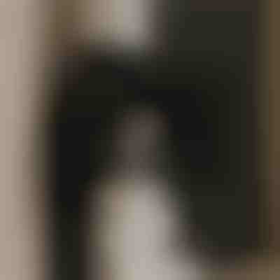 Ventilateur puissant pour un air pur | VENTORIS