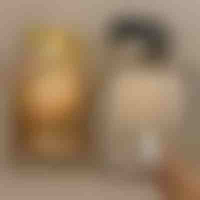 Projecteurs magnétiques | ARTIONIC