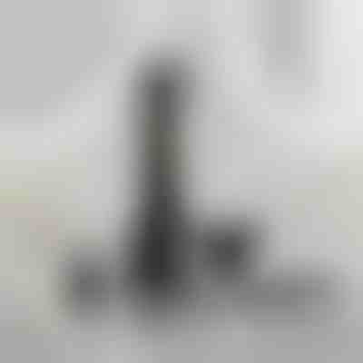 Tondeuse polyvalente | SHAVIX