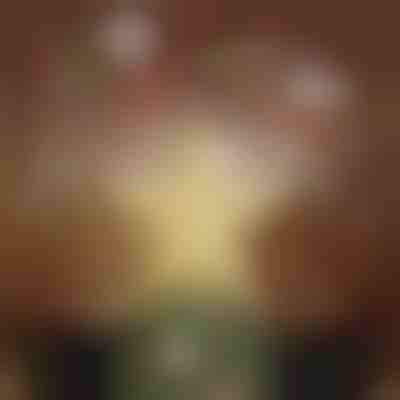 Projecteur de cime de sapin de Noël | FLAKELITE