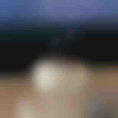 Diffuseur d'arômes apaisant | MEDUSAMIST