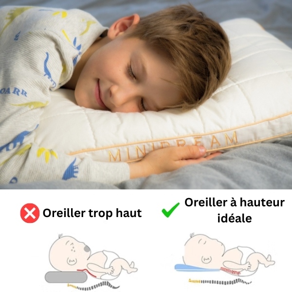 MINIDREAM_600x600_V1_FR__310725