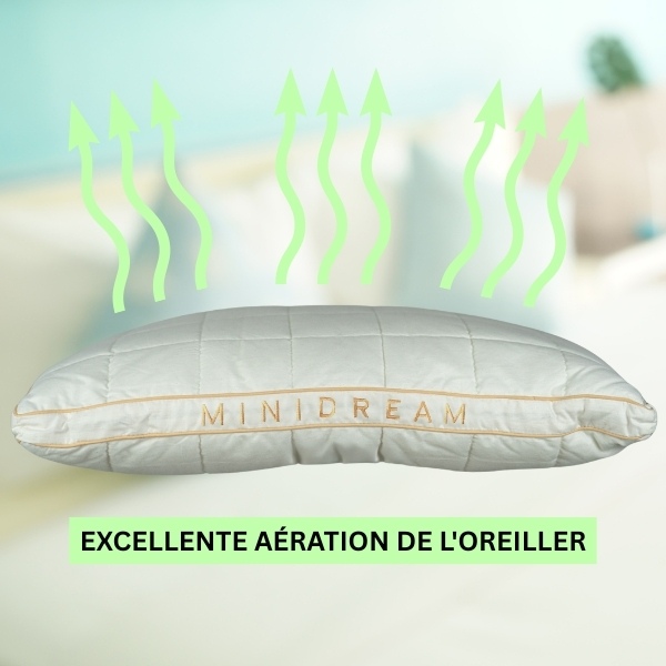 MINIDREAM_600x600_V3_FR__310725