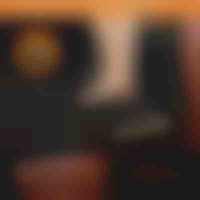 Housse de siège arrière de voiture imperméable pour chiens | CARIPET