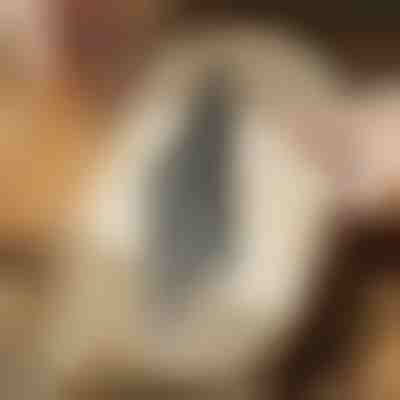 Lames de scie sauteuse à coupe affleurante (5 pcs) | JIGSPRO