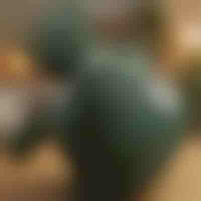 Coussin de massage shiatsu chauffant | MASSORA