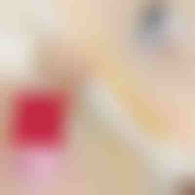 Lingettes détachantes (20 pcs) | STAINIX