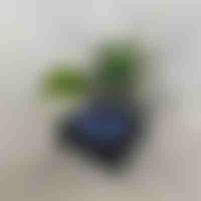 Haut-parleur Bluetooth rétro avec projecteur de vagues océaniques (14 x 15 cm) | VIVAPLAY