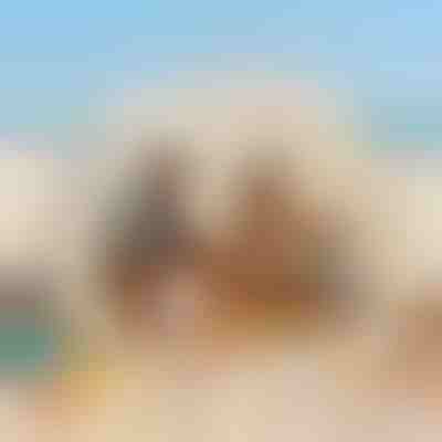 Tente de Plage Pop-Up - Abri Solaire UPF50+, 120x120x100 cm | POPYTENT