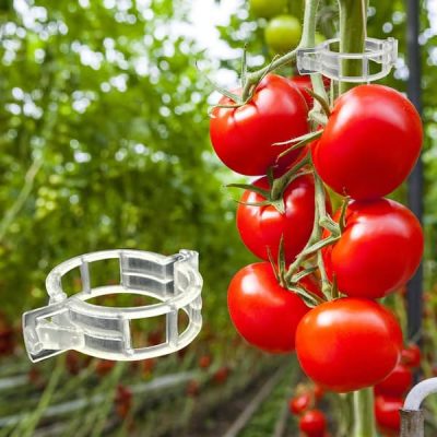Clips de support pour plantes de jardin (300 pièces) | TOMACLI